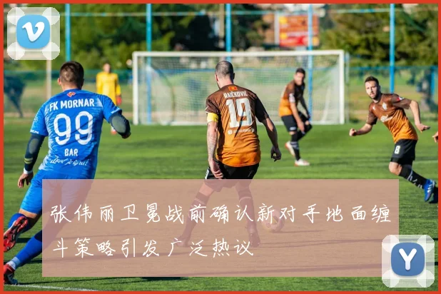 张伟丽卫冕战前确认新对手地面缠斗策略引发广泛热议